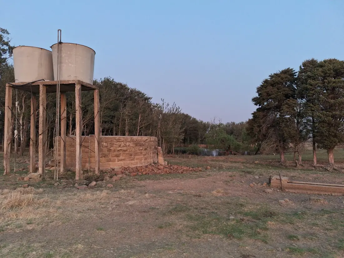 Two raised water tanks on a timber stand on a farm at dusk